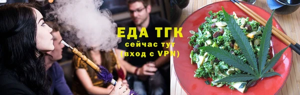 индика Арсеньев