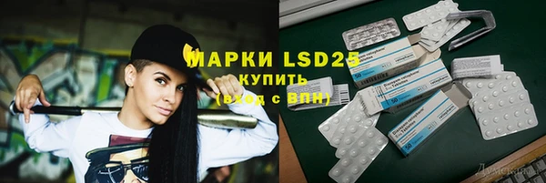 индика Арсеньев
