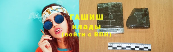 индика Арсеньев