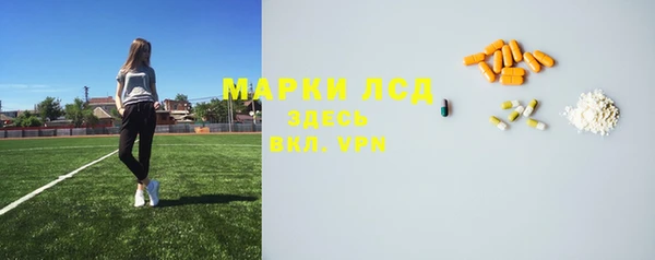 apvp Аркадак