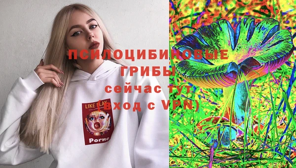 индика Арсеньев