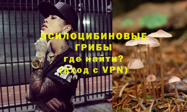 МДПВ Белокуриха