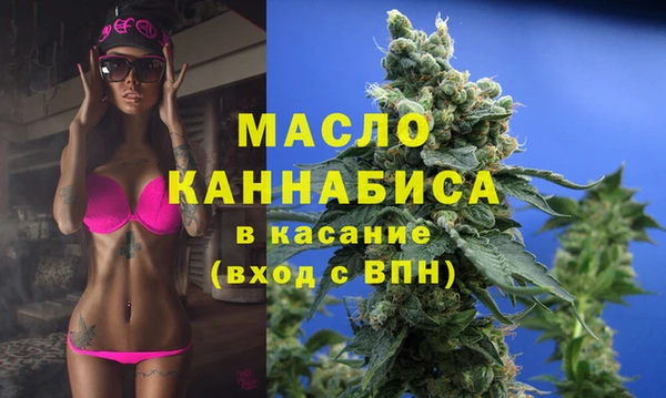 индика Арсеньев