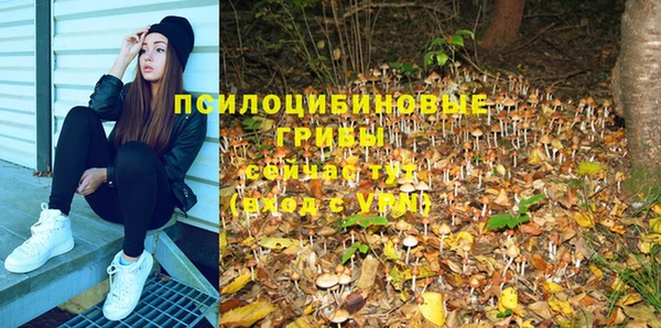 первитин Армянск