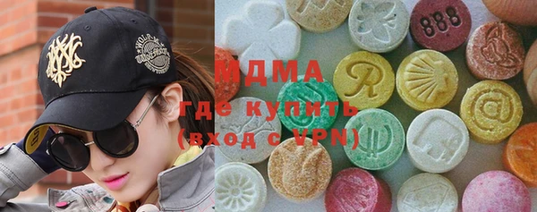 индика Арсеньев