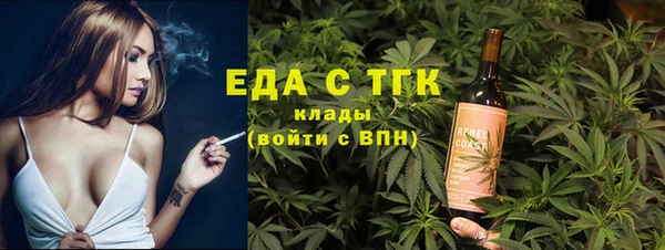 индика Арсеньев