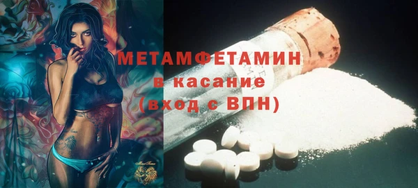индика Арсеньев